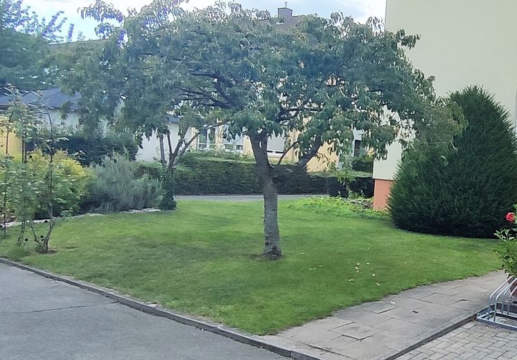3 Zimmer Wohnung mit Gartenbenutzung – Garten