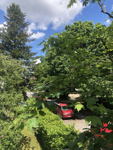 Blick vom Balkon