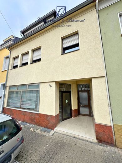 Großzügiges Haus, 410m² Gesamtfläche in ruhiger Seitenstraße von Saarbrücken-West – Gebäudeansicht