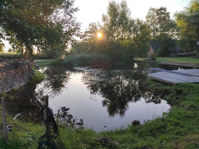Kernsaniertes Bauerhaus unter Reet auf naturnahem Grundstück in Feldrandlage – Biotop und Schwimmteich
