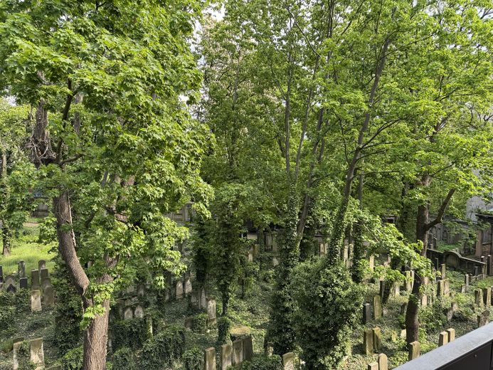 ऐतिहासिक इमारत में लॉफ्ट शैली वाला अनूठा अपार्टमेंट – Blick vom Balkon