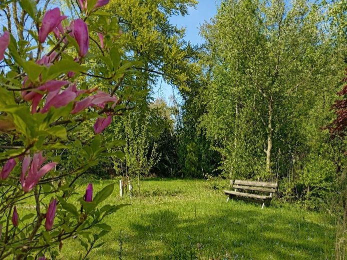 Casa a graticcio in posizione unica al margine del bosco – Foto 6