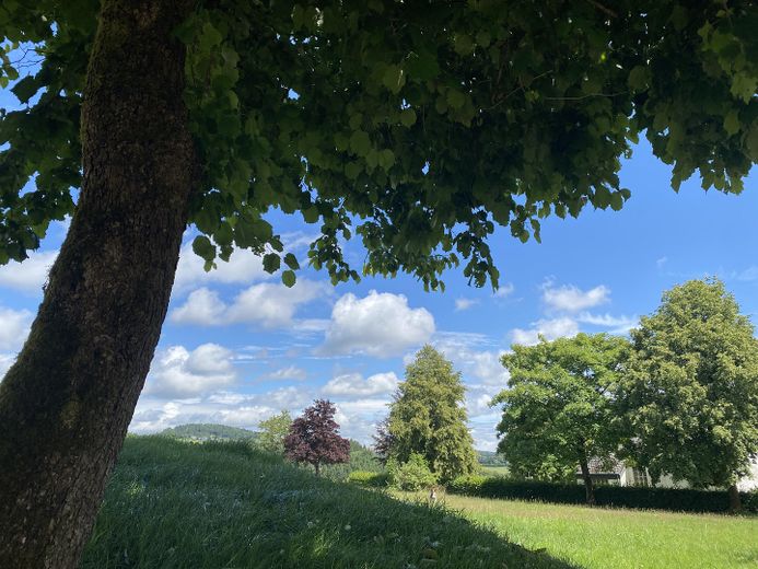 58 m² - Effizienzhaus - Erstbezug - Balkon - Aufzug - Sauna - Luftkurort - Rothaargebirge – Blick seitlich 1