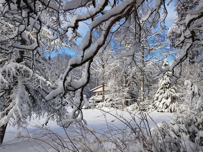 Landhaus am Rande des Nationalparks Hunsrück-Hochwald – Wohnhaus im Winter