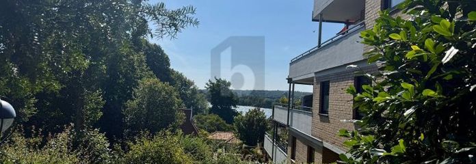 VISTAS DE ENSUEÑO AL KELLERSEE