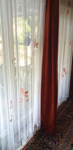 Wohnzimmer Fenster 