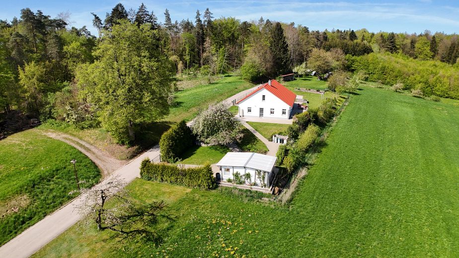 Frühling