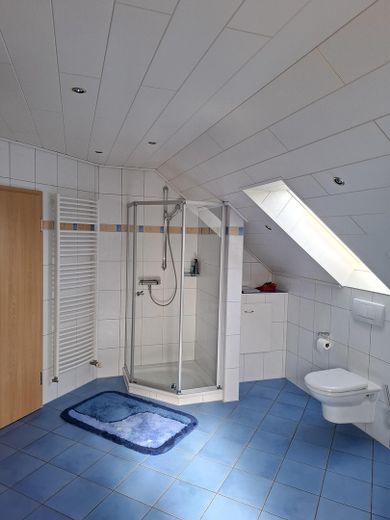 Repräsentatives Einfamilienhaus mit separaten Gewerbegebäude Werkstatt/Lagerhalle – Badezimmer OG
