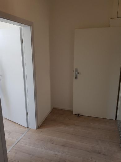 Voll vermietetes, attraktives,MFH mit 5 WE´s in Zentrumsnähe von Reichenbach – Flur Detail