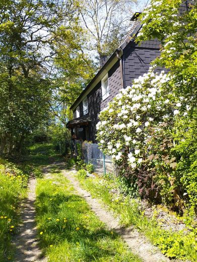 Casa a graticcio in posizione unica al margine del bosco – Foto 3