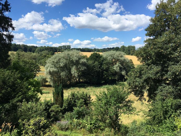 Sommer