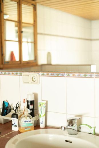 Landhaus Generationenhof mit bis zu 10 ha Land und Bachlauf – Bad OG eingelassener Spiegel