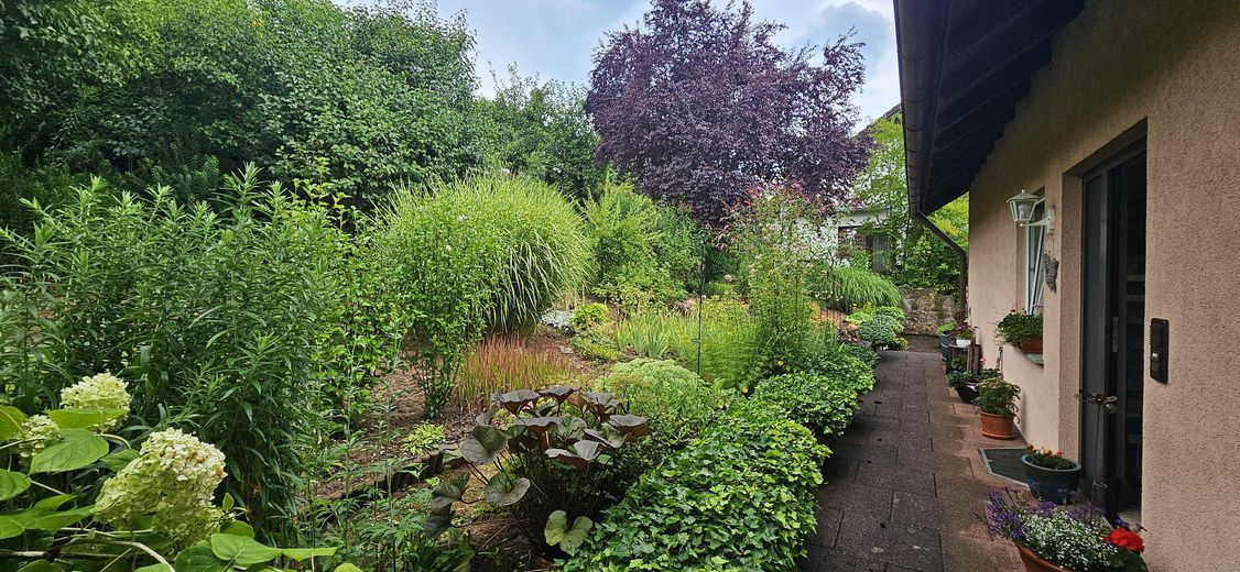 Garten/Eingangsbereich