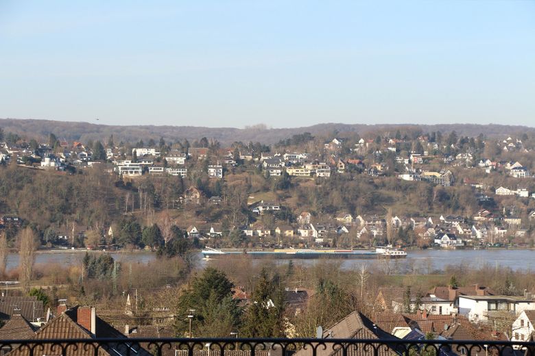 Rheinblick