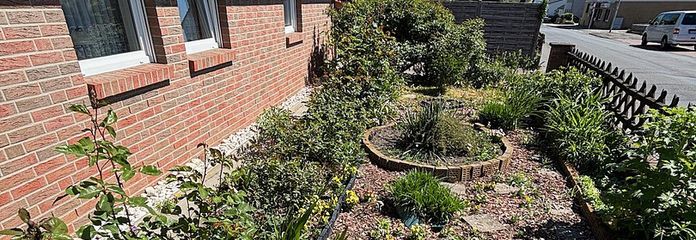 Bevor das Blühen beginnt