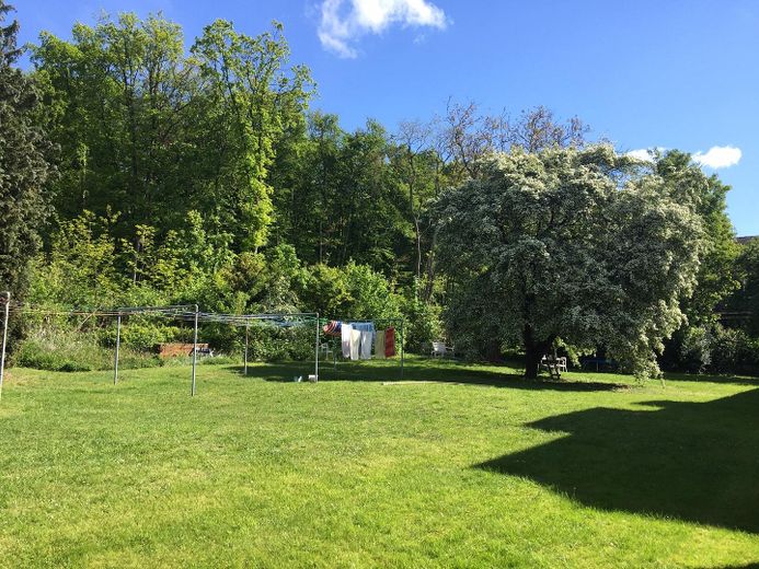 Großer grüner Garten