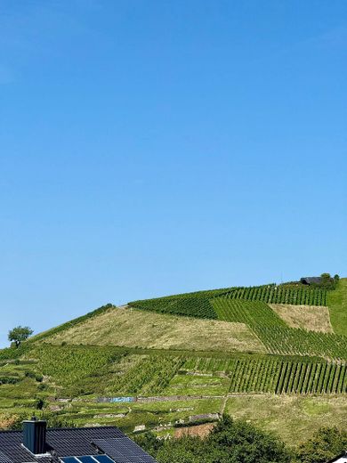 Ausblick
