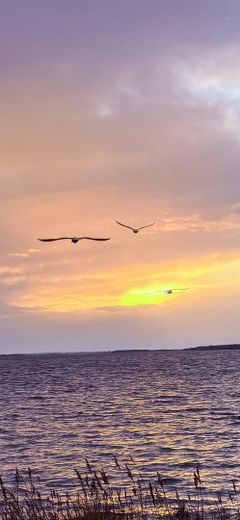 Baugrundstück im Ostseebad Rerik – Foto 5