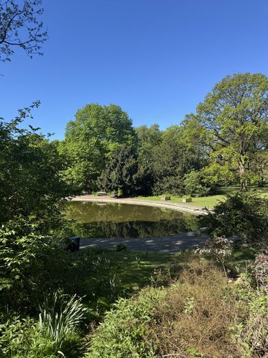 Wolne od zaraz – mieszkanie nad dachami Eilbek, z szerokim widokiem na Jacobipark aż po port. – Jacobipark 