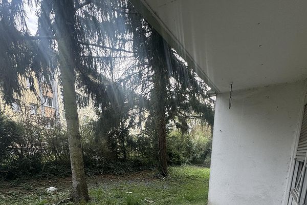 Wunderschöne, kernsanierte 1-Zimmer-Wohnung mit Terrasse und Blick ins Grüne