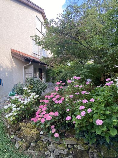 Blick zur Eingangstüre 