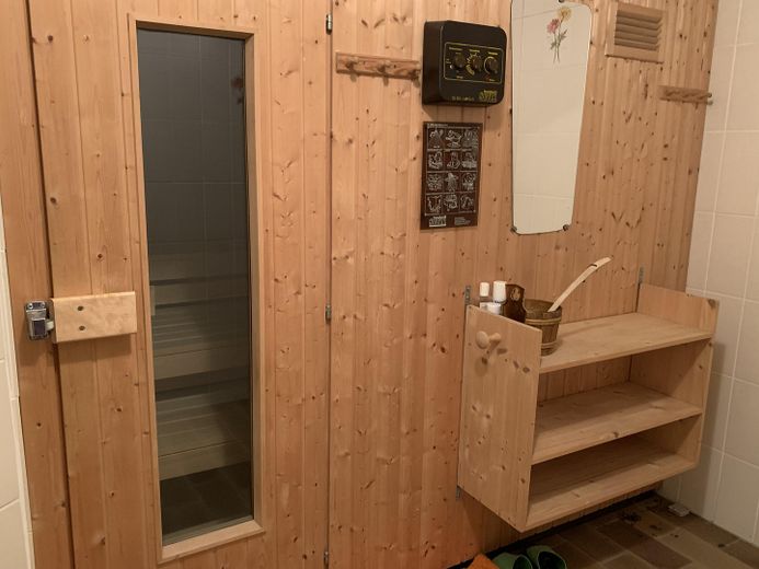 Saune im Keller