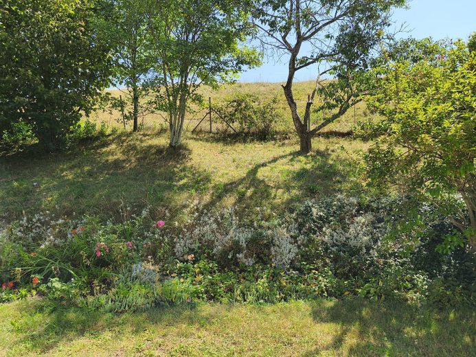 Besser leben im Allgäu – Gemeinschaftsgarten SÜD-OST