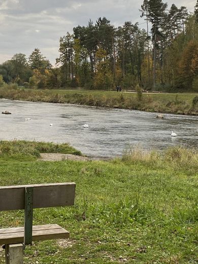 Helle, ruhige und naturnahe Etagen-ETW in bester Lage – Foto 11