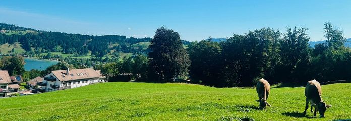 Wohnen oberhalb des Alpsees – Eigentumswohnung mit traumhafter Lage im Allgäu