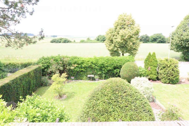 Blick in den Garten