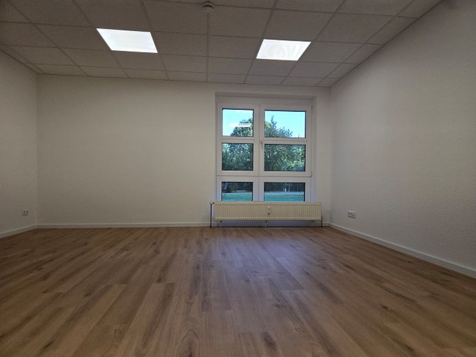 WG-geeignete helle 3,5-Zimmer-Gartenwohnung, Einbauküche, zentrale Lage, Erstbezug nach Sanierung – Zimmer Gartenseite
