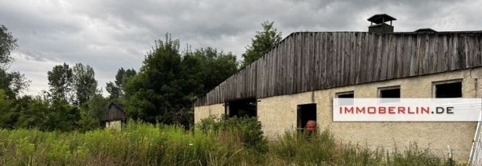 IMMOBERLIN.DE - 5,3 Hektar für die Land- und/oder Forst- bzw. Energiewirtschaft