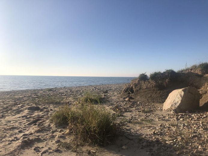 Immobilie mit Ambiente & Flair vor Sylt - inkl. Ausstattung und provisionsfrei! – Hjerpsted Strand