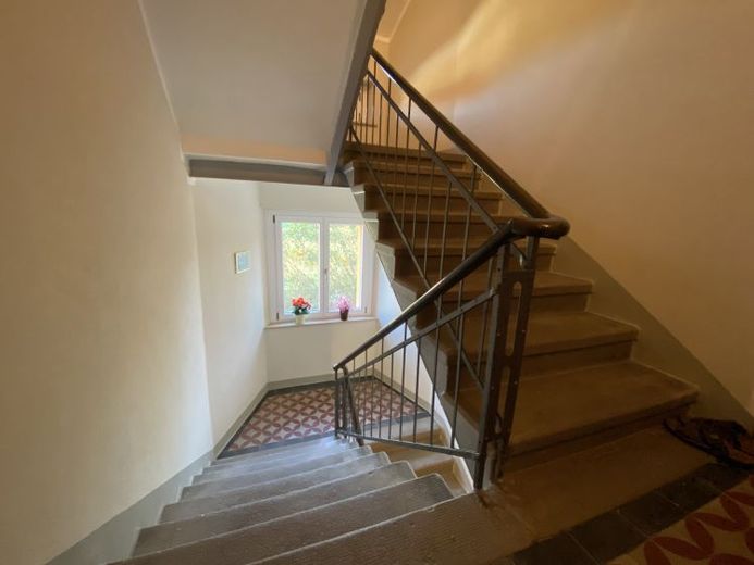 Frisch renoviert 2-Raum-Wohnung mit modernem Tageslichtbad - sofort bezugsfrei! – Foto 1