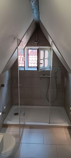 Old building gem - studio with castle view – Dusche