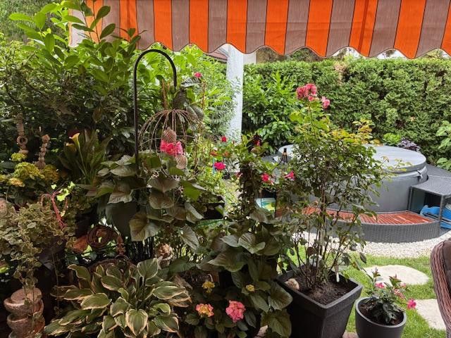 Blick ins Gartenparadies 