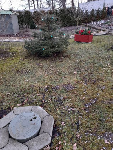 Lichtentanne, Grdst. + Bungalow – Foto 5