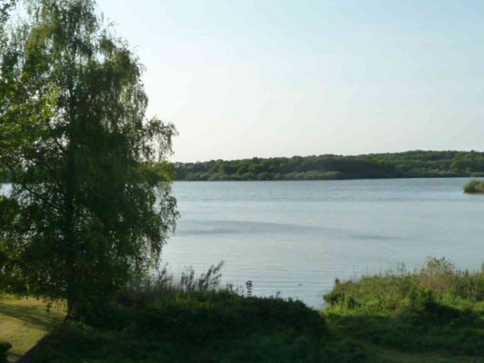 Haus am See und Baugrundstück am See in bester Wohnlage in 1.Seereihe,Seeblick,Villa am See,Kamin – फोटो 8