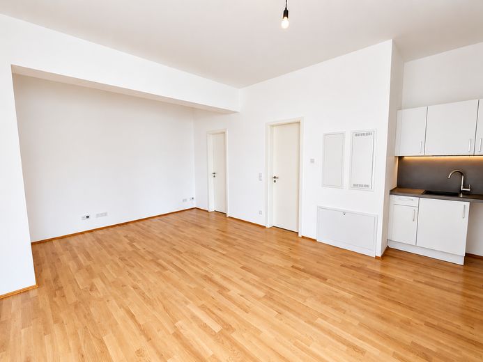 Erstbezug in Prenzlauer Berg: Neuer Einbauküche, Fußbodenheizung, und Separater Schlafbereich – Wohn/Essen