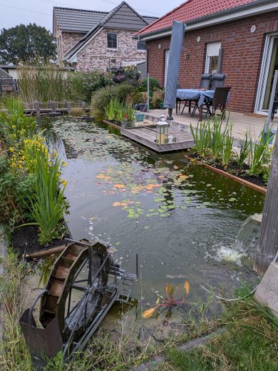 Bungalow come nuovo a Scharbeutz, frazione di Gleschendorf, in posizione immersa nella natura – Teich mit Süd-West-Terrasse