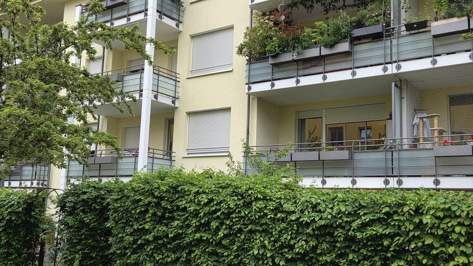 سكن حصري وسط الطبيعة – شقة من غرفتين في موقع متميز دون عمولة – Balkon mit Blick in's Grüne