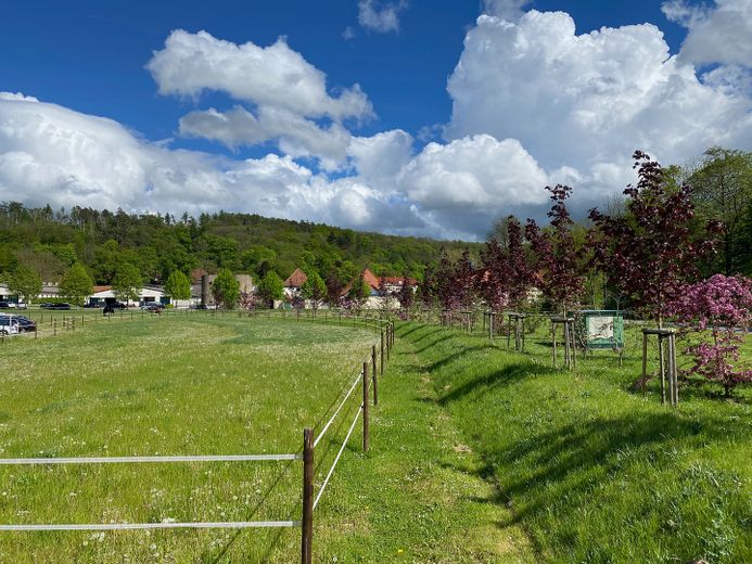Schlossblick 15, 1. Obergeschoss – Foto 12