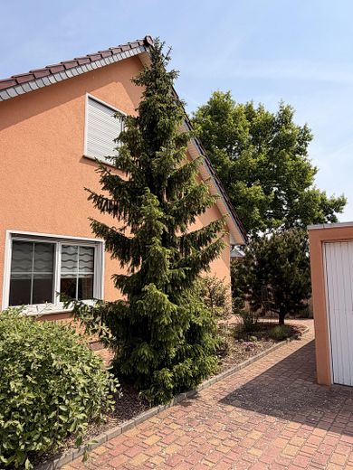 Viel Platz für Familie, Garten & Leben – freistehendes Architektenhaus in Oranienburg – Außenansicht