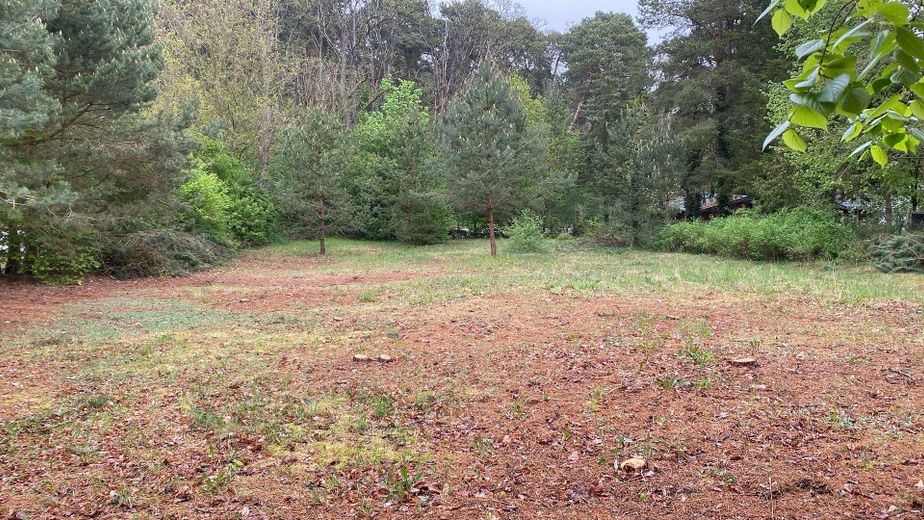 1.254 m² Baugrundstück nahe Stechlinsee – teilbar , ruhige Lage (provisionsfrei) – Foto 4