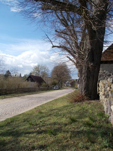 Casa forestale Metzelthin - abitare e lavorare nel Parco naturale dei laghi dell'Uckermark – Metzelthiner Dorfstraße