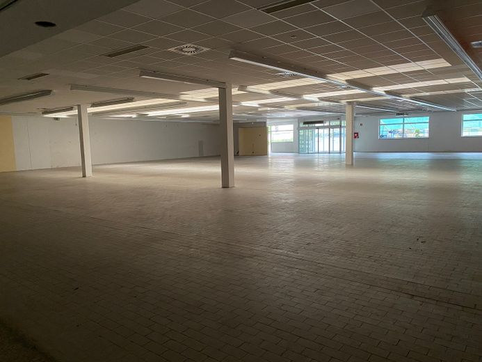 Gewerbefläche Lager, Handel, Produktion, teilbar – Lager groß