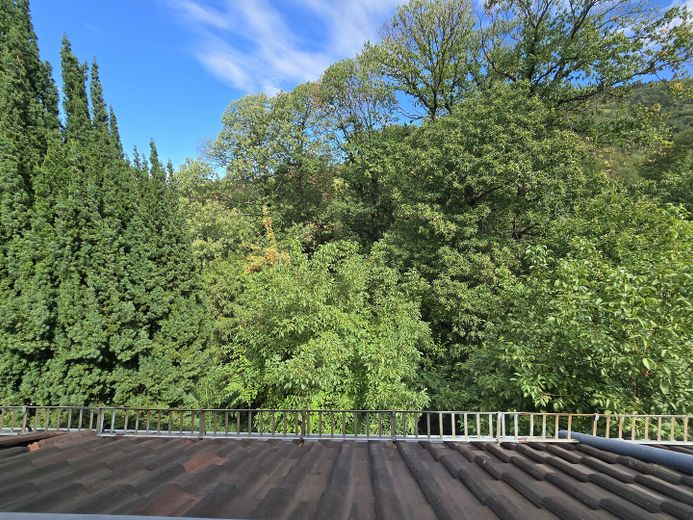 Detached two-family house in a quiet residential area in Heidelberg-Handschuhsheim – Photo 27