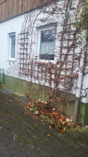Schöne und helle 2-Zi.Whg. / Terassenwohnung – Foto 3
