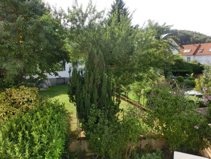 Charmantes Wohlfühlhaus mit Terrasse und kleinem Garten in gesuchter Lage – Blick aus dem Fenster