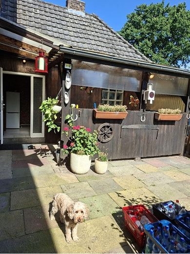 Einfamilienhaus mit viel Platz samt Garten in Emmerich am Rhein – Foto 23